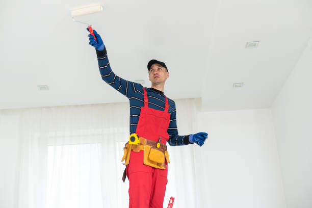 Best Attic Mold Removal  in Cockeysville, MD