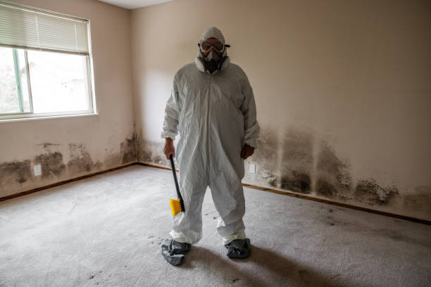 Best Asbestos and Lead Testing During Mold Inspection  in Cockeysville, MD