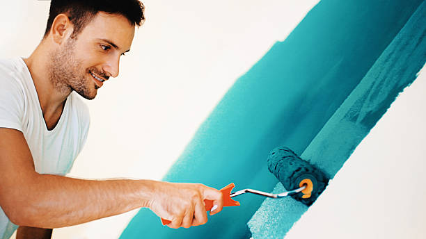 Professional Mold Removal in Cockeysville, MD
