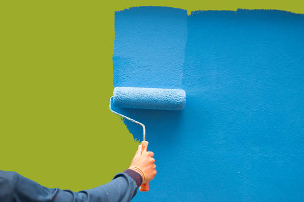 Best Mold Odor Removal Services  in Cockeysville, MD